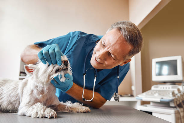 Best Emergency Treatment for Dental Infections or Abscesses in Chandler, OK