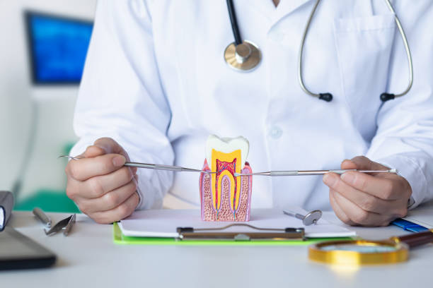 Best Emergency Denture Repair in Chandler, OK